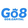 go8cap's Avatar