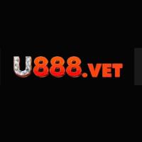 u888vet2's Avatar