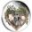 mycdb's Avatar
