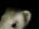 schklu's Avatar