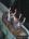 adeozd's Avatar