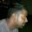 dinnk's Avatar