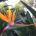 eriham's Avatar