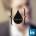 briceg's Avatar