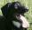 marhan's Avatar