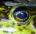 khetee's Avatar