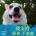 akiyu's Avatar