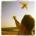 anagud's Avatar