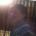jorhui's Avatar