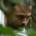 joalev's Avatar