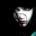 rapdan's Avatar