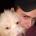 tedleo's Avatar