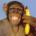 fb_565215492's Avatar