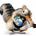 idscomm's Avatar