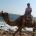 antbal's Avatar