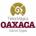 oaxtie's Avatar