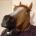 henped's Avatar