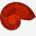 pedmor1's Avatar