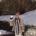 mohfar's Avatar