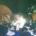 lauspe's Avatar
