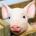 harjun's Avatar
