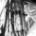 phacuo's Avatar