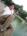 fb_525927775's Avatar