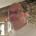 fb_1082742985's Avatar