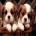 homeandbeds102's Avatar