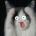 gergom's Avatar