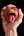 fb_100000142330592's Avatar