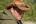 sonsto's Avatar