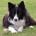 almel's Avatar