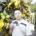 ph's Avatar