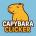 clicap's Avatar